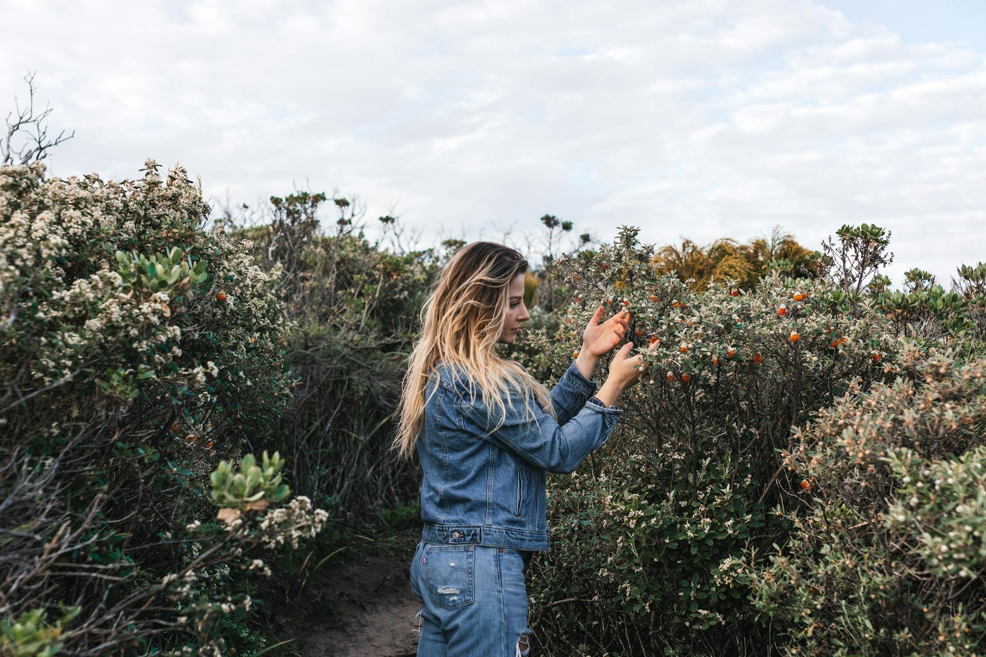 The Denim Guide: Finding Your Perfect Bella Silhoutte